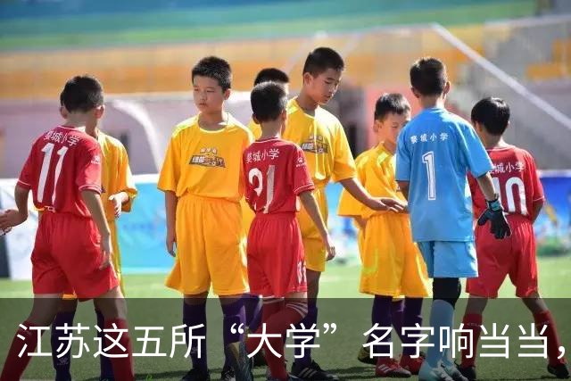 江苏这五所“大学”名字响当当，毕业证却如同废纸，人民日报早就点过名了