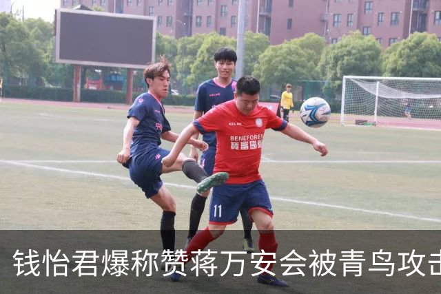 钱怡君爆称赞蒋万安会被青鸟攻击，沈富雄：一定要把沈伯洋从神坛拉下来